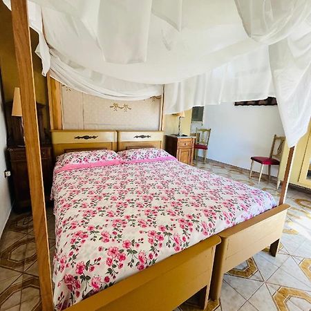 Big House Vicino Al Castello Apartment Rocca Imperiale Ngoại thất bức ảnh